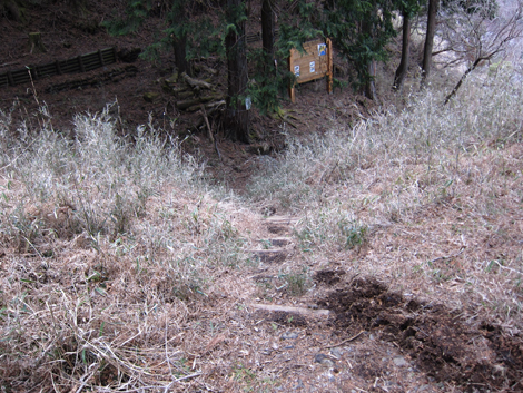 20190214hike (132)